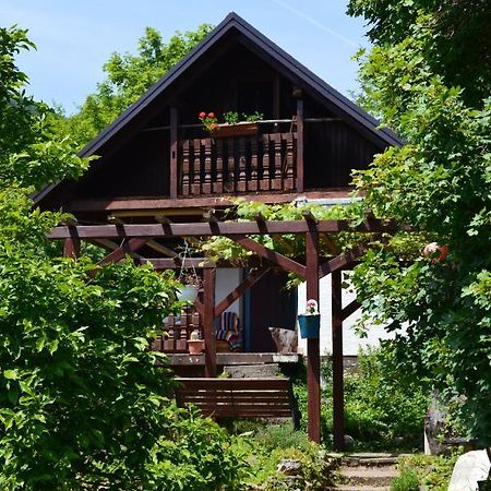 Na Okic - A Private Forest Oasis Sveti Martin pod Okicem Ngoại thất bức ảnh