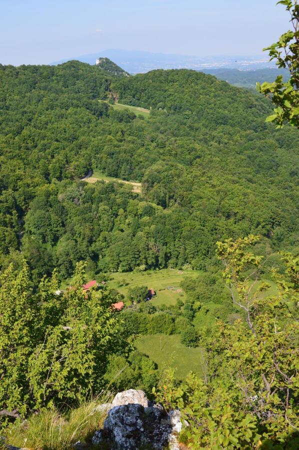 Na Okic - A Private Forest Oasis Sveti Martin pod Okicem Ngoại thất bức ảnh
