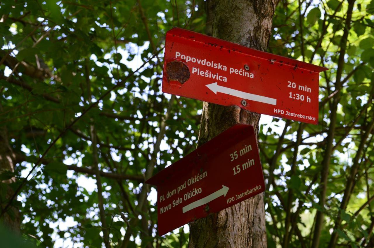 Na Okic - A Private Forest Oasis Sveti Martin pod Okicem Ngoại thất bức ảnh