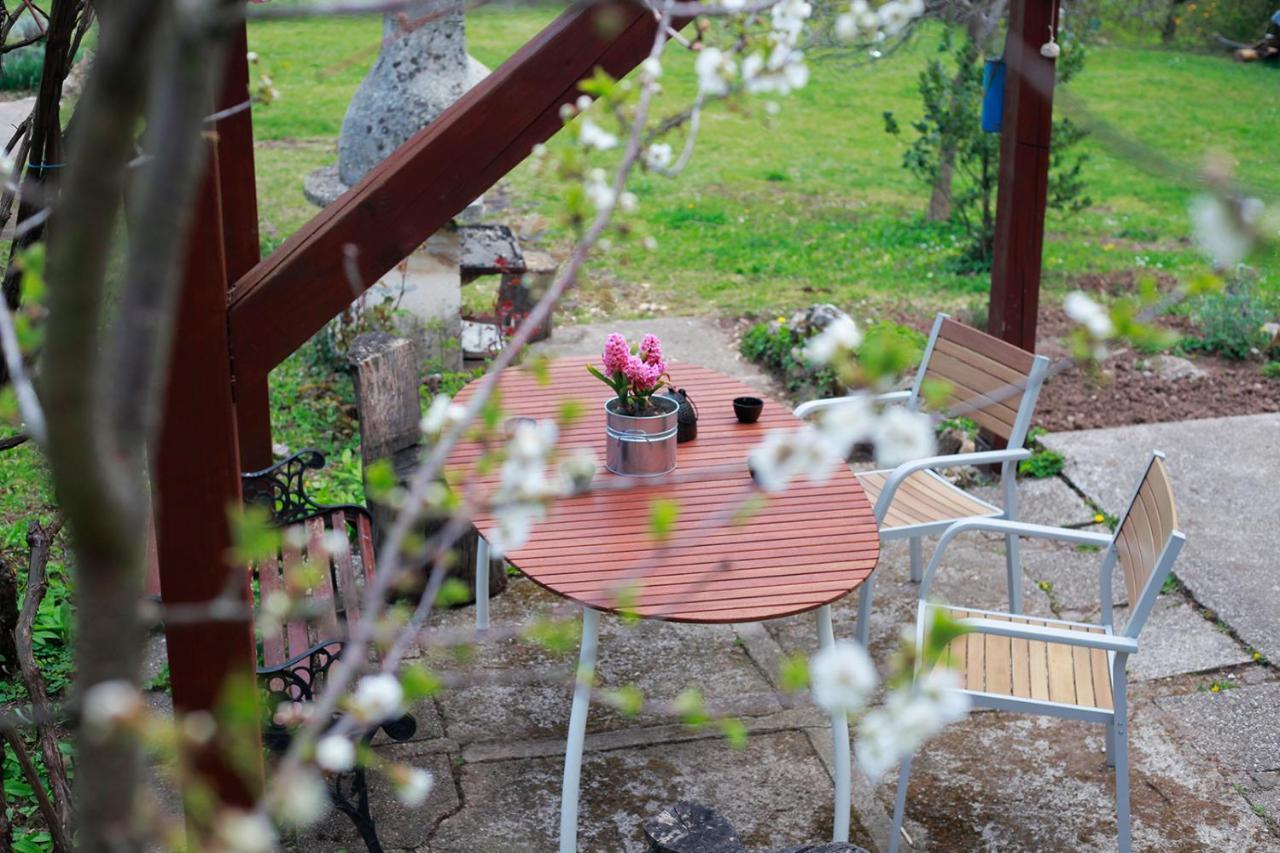 Na Okic - A Private Forest Oasis Sveti Martin pod Okicem Ngoại thất bức ảnh