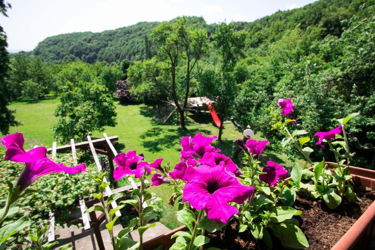 Na Okic - A Private Forest Oasis Sveti Martin pod Okicem Ngoại thất bức ảnh
