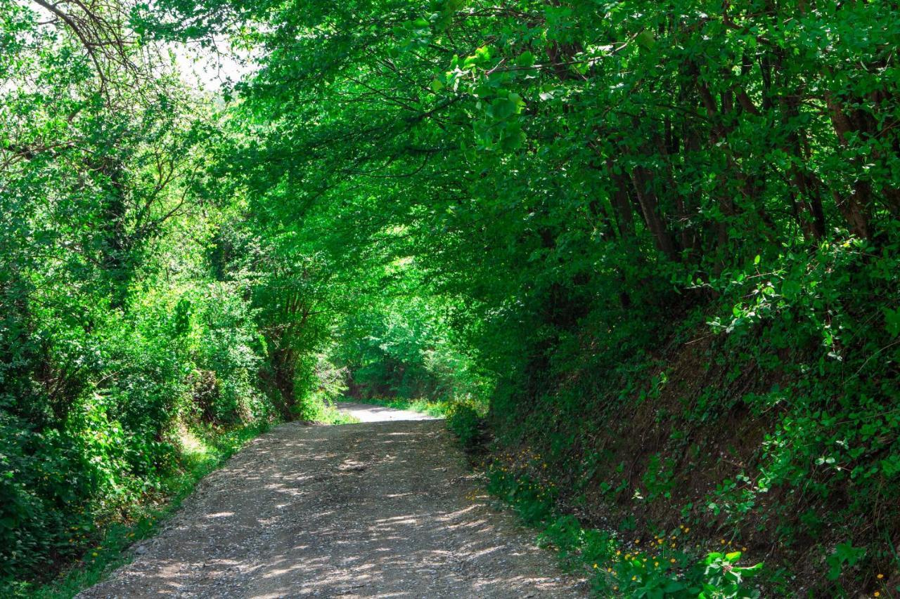 Na Okic - A Private Forest Oasis Sveti Martin pod Okicem Ngoại thất bức ảnh