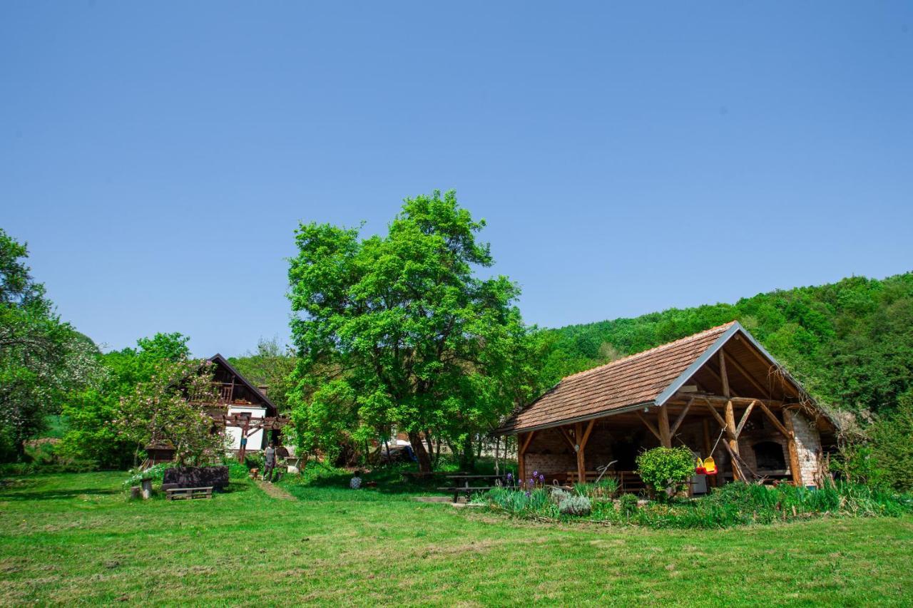 Na Okic - A Private Forest Oasis Sveti Martin pod Okicem Ngoại thất bức ảnh